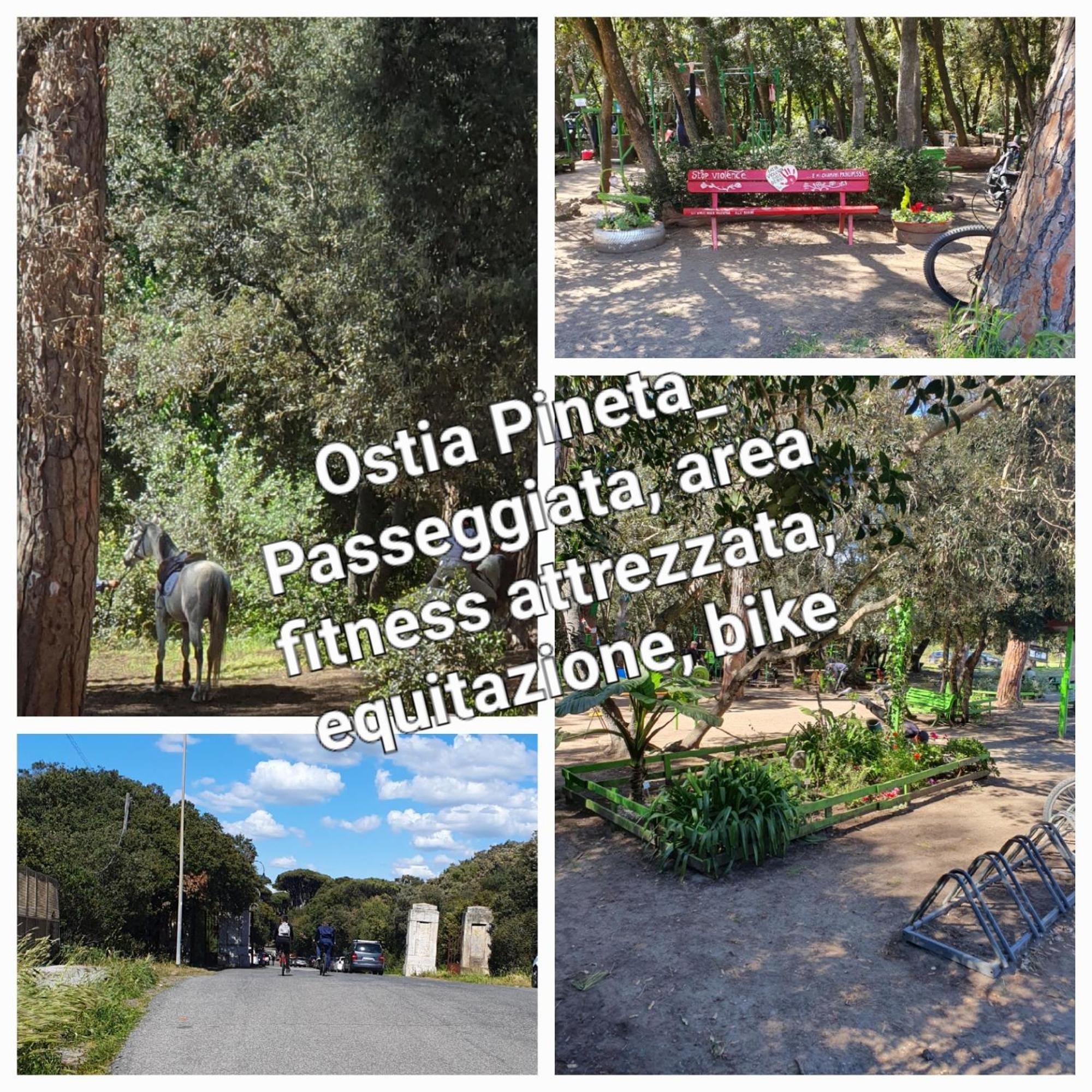 Casa Diana Ostia Lido di Ostia Exterior foto